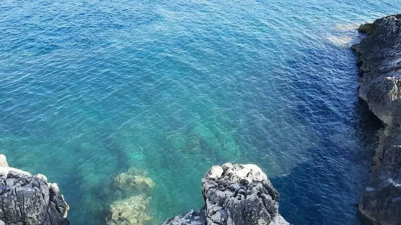 Corte Mariposa