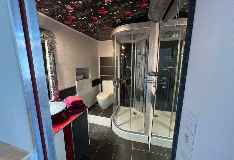 Nimes Superbe Appartement Duplex Climatisée