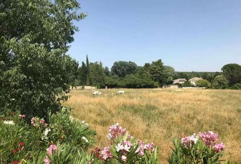 Mas Ancien à Uzès