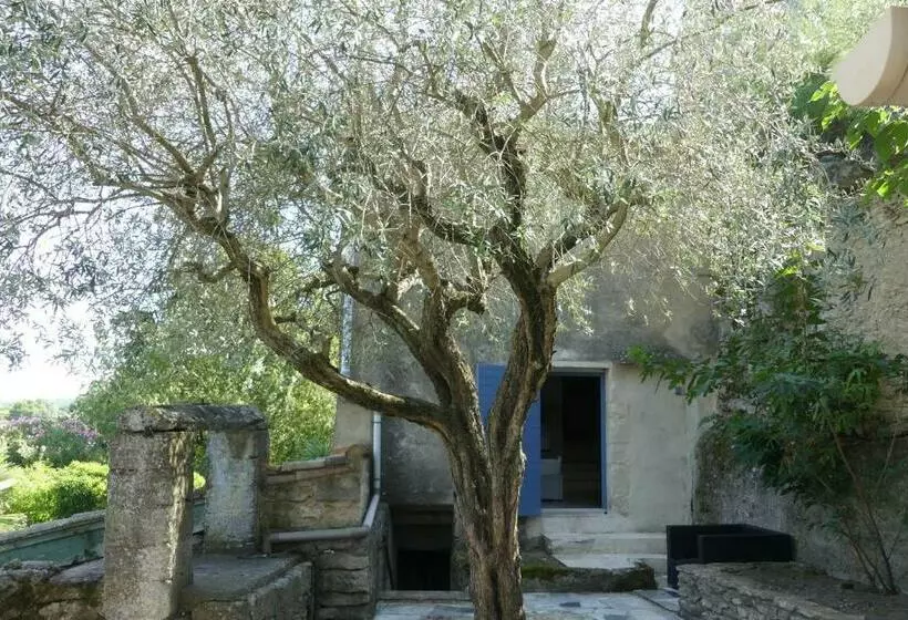 Mas Ancien à Uzès