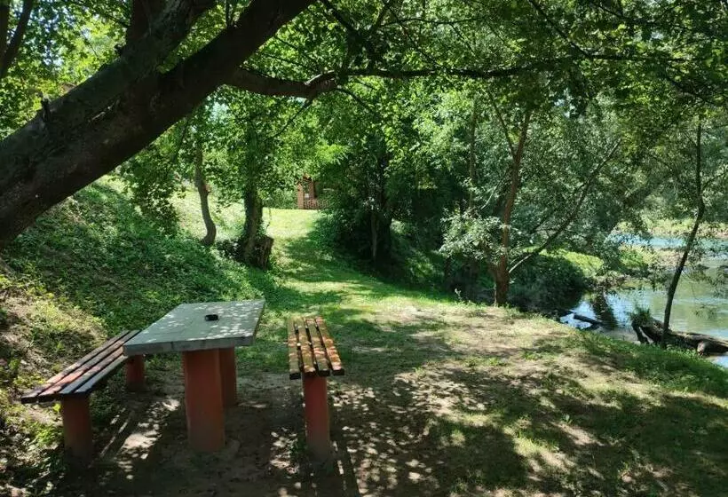 Apartmani Kajkut
