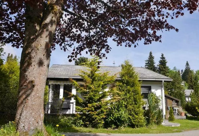 Ferienhaus Free Willi