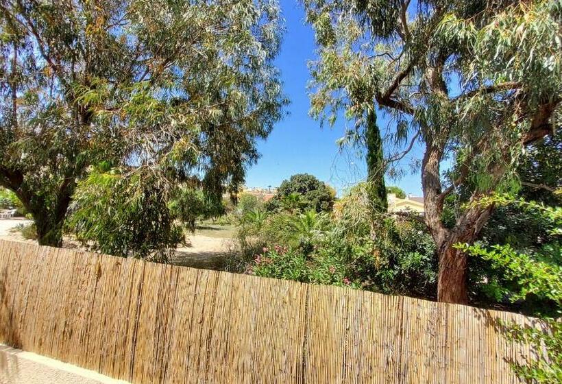 Villa Rosa   La Marina Urbanisation