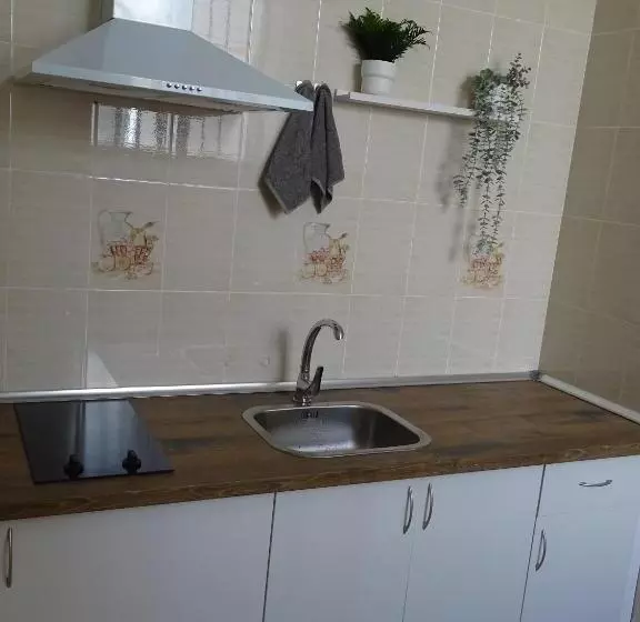 Casasjerezanas Valerian