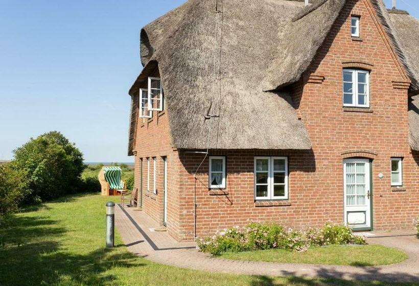 Hüs Waasluuper   Seeschwalbe