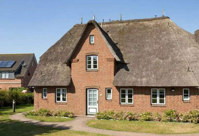 Hüs Waasluuper   Seeschwalbe