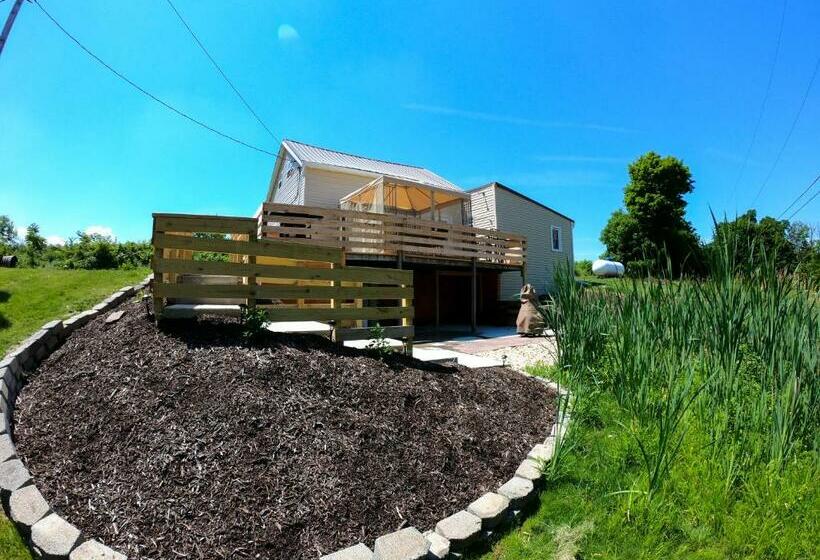 Country Setting 3 Bdrm Home W/ Outside Relaxation