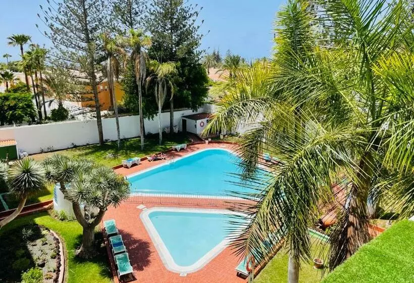 Lizards Lounge   Tanife Apartment Beim Yumbo