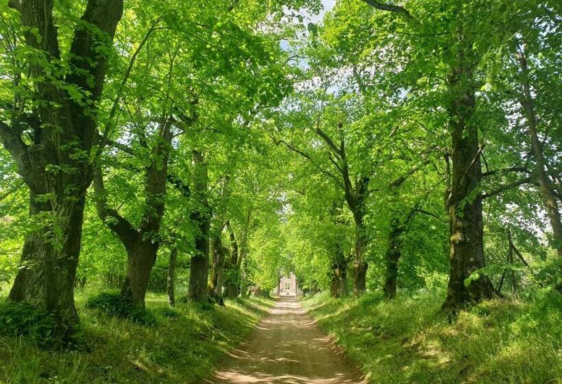 בית מלון כפרי Château De Colliers