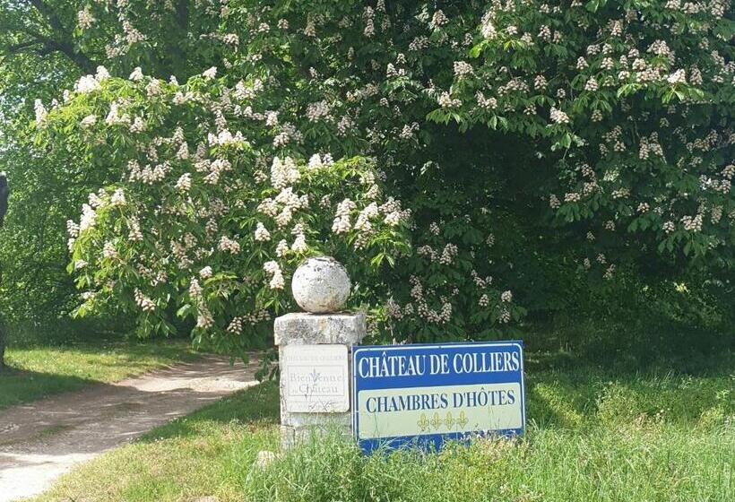 בית מלון כפרי Château De Colliers