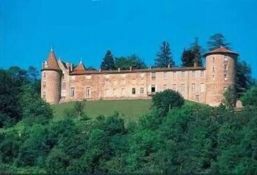 Отель Château De Vollore