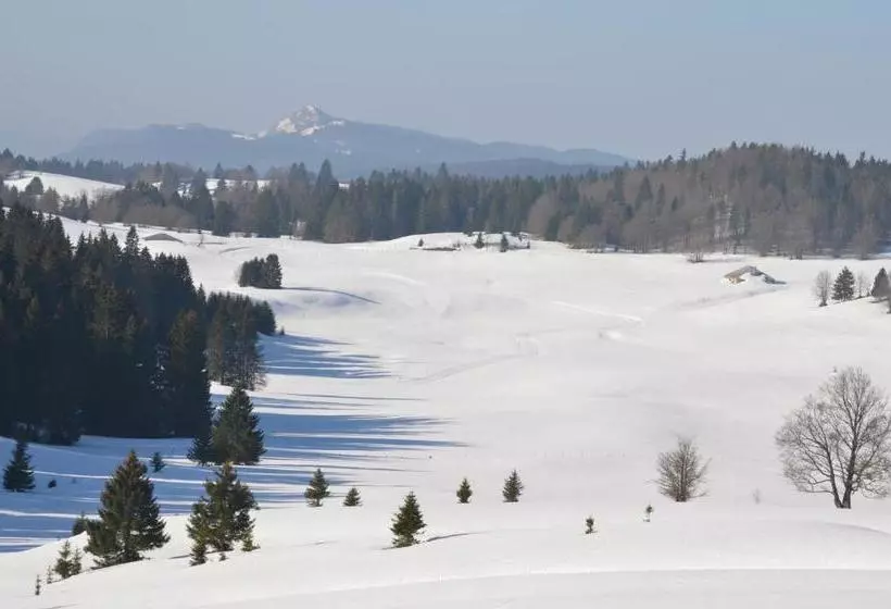 هتل De La Haute Montagne