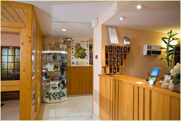 هتل De La Haute Montagne