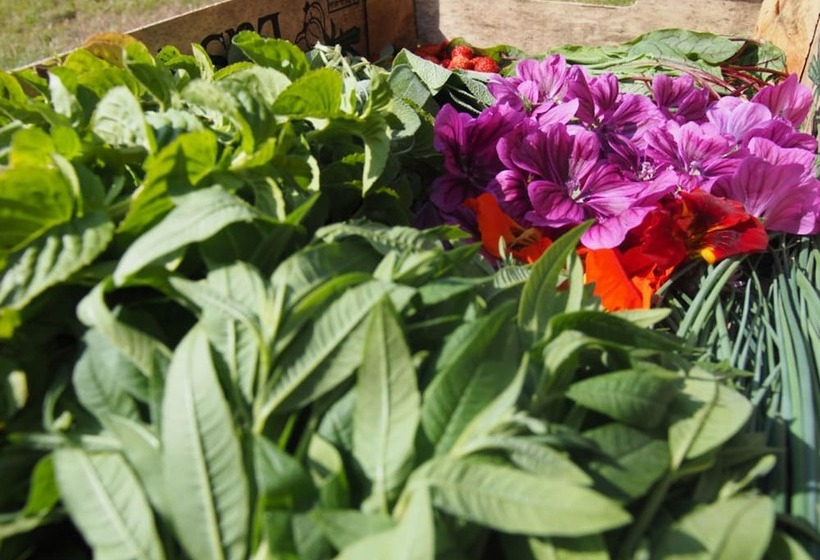 בית מלון כפרי Logis Le Château De Sable