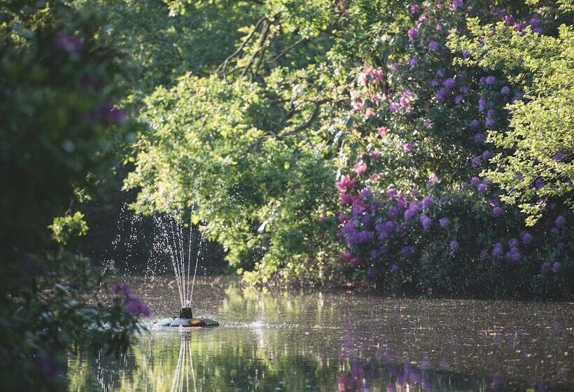 בית מלון כפרי Mere Court