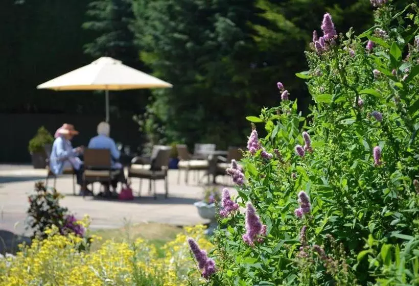 Отель St Andrews Town