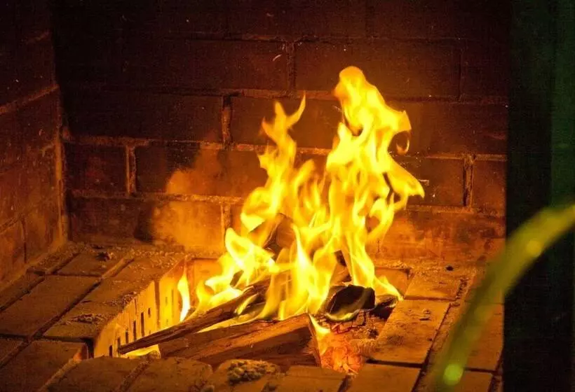 Отель Stranddistel Rügen