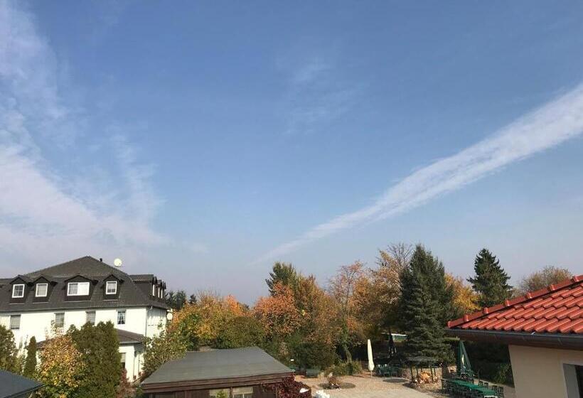 بنسيون Gasthof Goldener Hahn