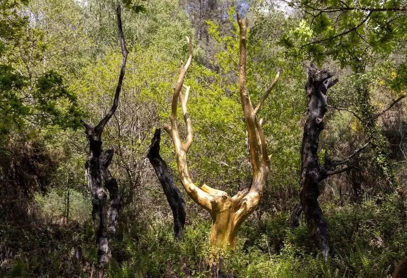 Residenza Lancelot & Spa Domaine Du Roi Arthur