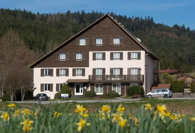 Резиденция Résidence Les Myrtilles