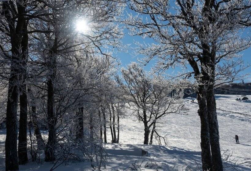 住所  Résidence Les Myrtilles