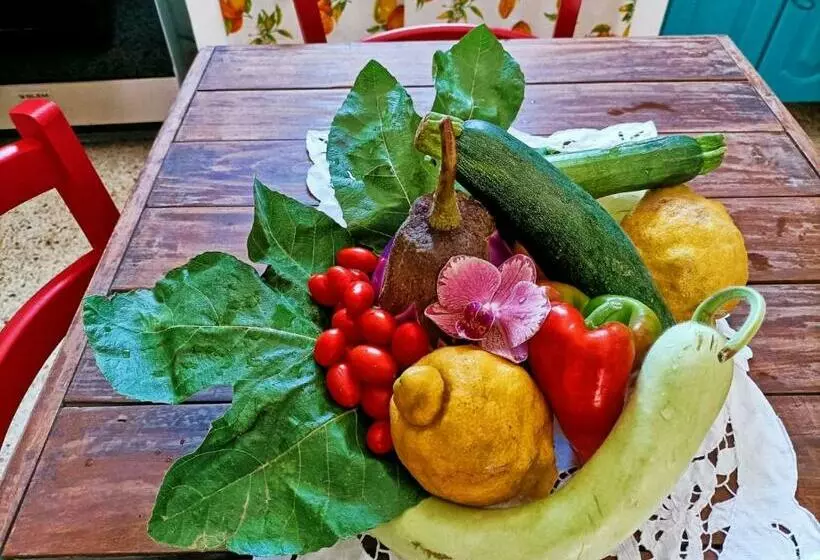 Cantunera Barbára