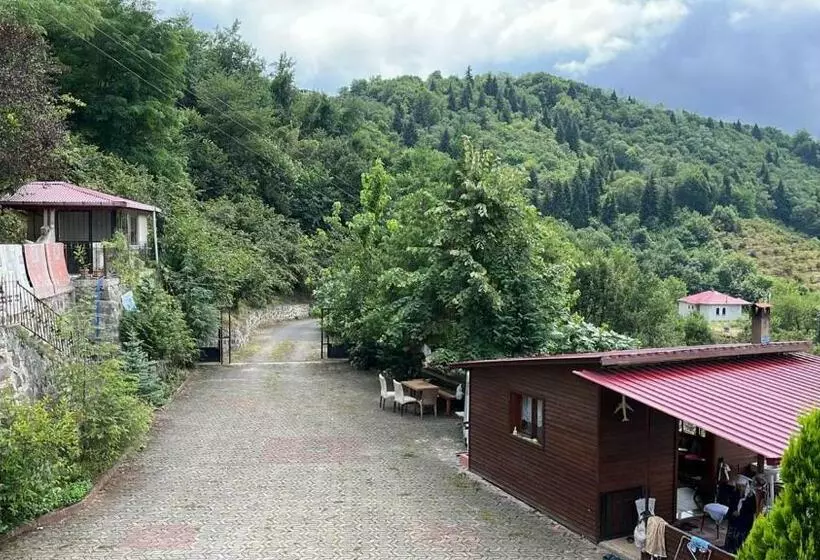 Cennet Bahçesi