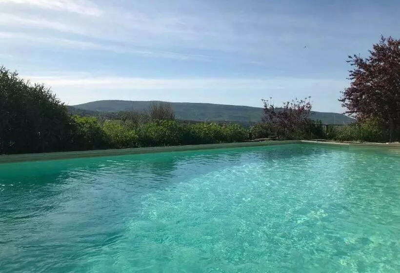 Majatalo L Arbre D Alice