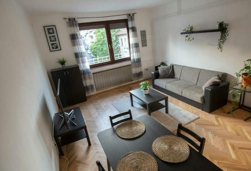 Spacious 2br Flat In The Centre With The Best View