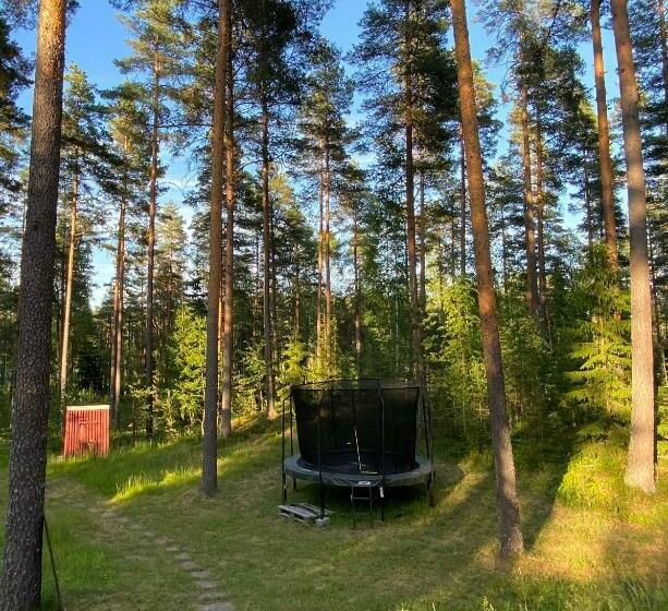 A Unique Cottage In A Pine Forest By The Lake
