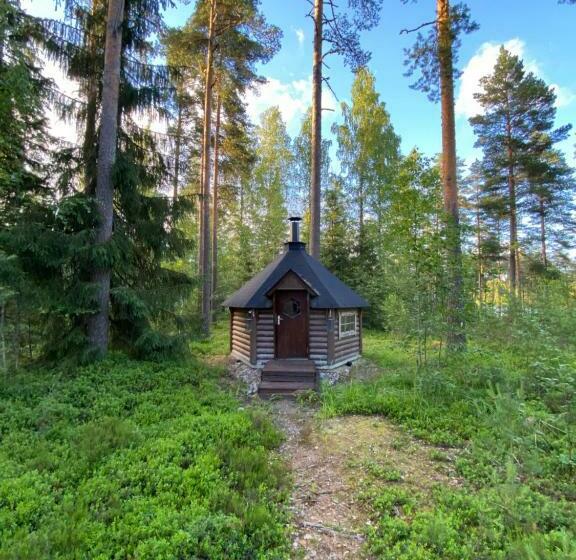 A Unique Cottage In A Pine Forest By The Lake