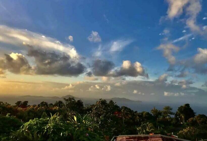 پانسیون Chambre Zen Caribbean Vibe