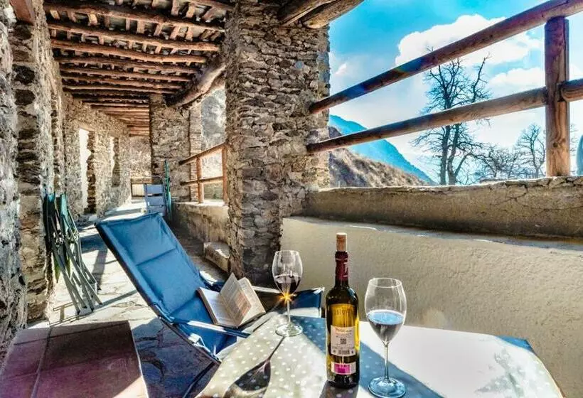 La Casita Del árbol Blanco