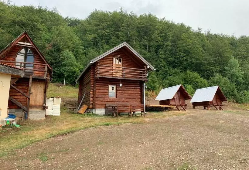 پانسیون Guest House Mountainview