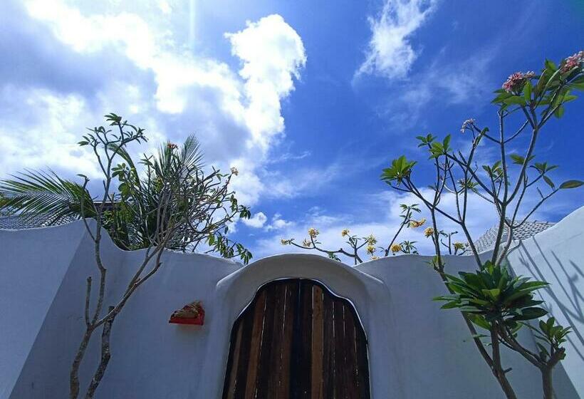 צימר Sal Central