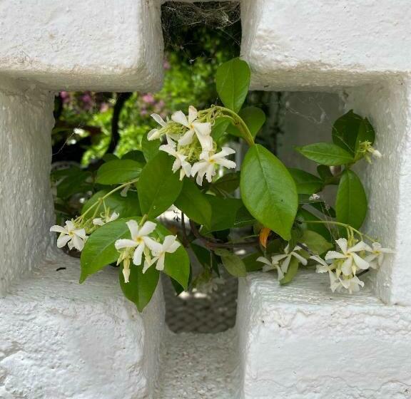 펜션 Palacete Encanto Maior