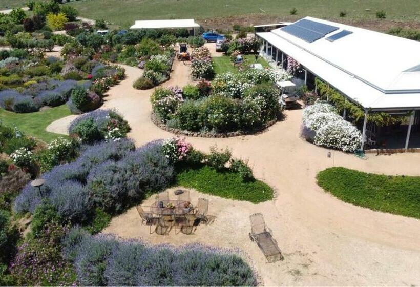 River Gardens Axedale Pet Friendly Farmstay B&b