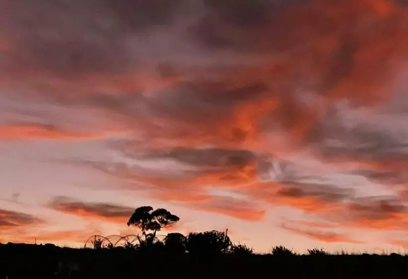 River Gardens Axedale Pet Friendly Farmstay B&b