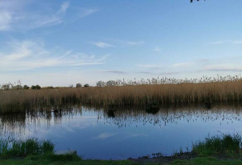 Vízparti Rózsa Vendégház