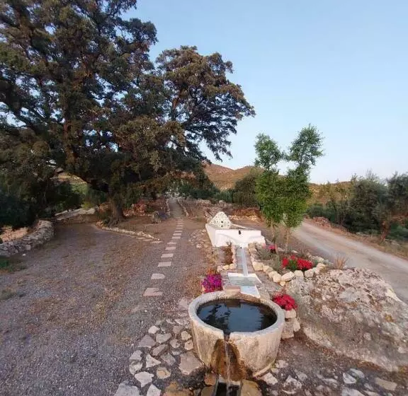 Hotelli Hacienda Molino Nuevo