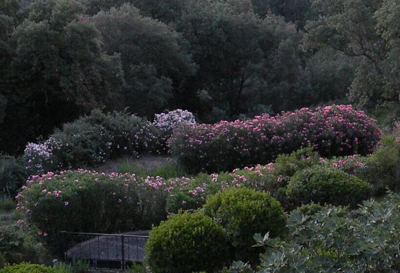 Pension Chambre Vue Feérique Panoramique Calme Piscine Xxl