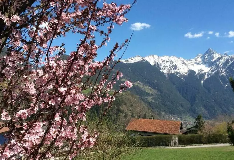 Komfortable Ferienwohnung Mit Herrlicher Aussicht