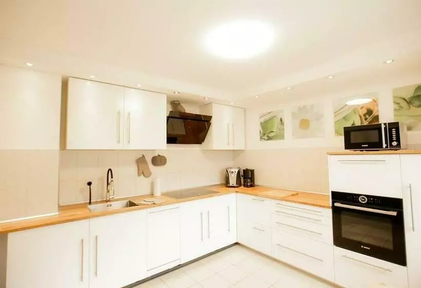 Bonquartier   House   Garden   Forest   Top Road Connection