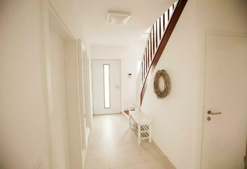 Bonquartier   House   Garden   Forest   Top Road Connection