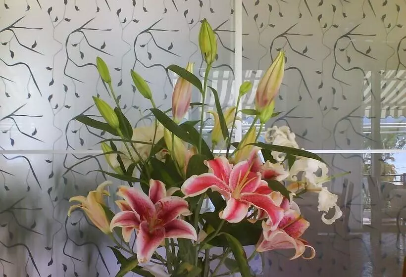 هتل Albergo Villa Edera