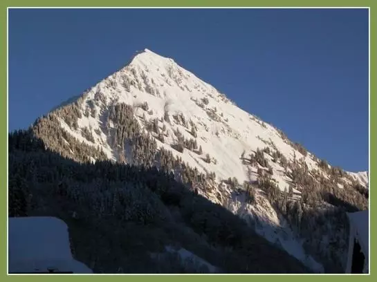 Bauernhof Madlener Claudia