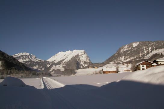 Bauernhof Madlener Claudia
