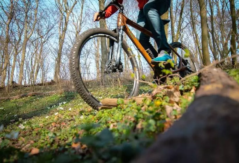 בית מלון כפרי Bornmühle