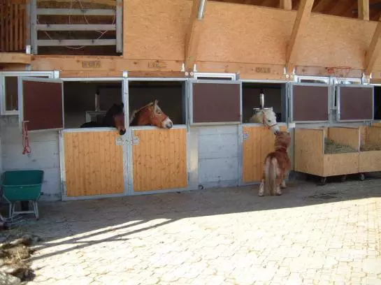 هتل Haus Alpenrose