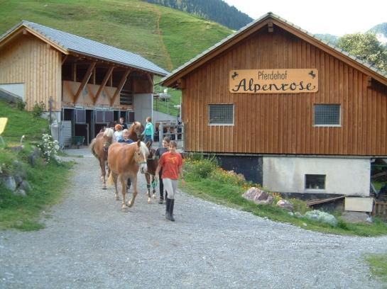 בית מלון כפרי Haus Alpenrose